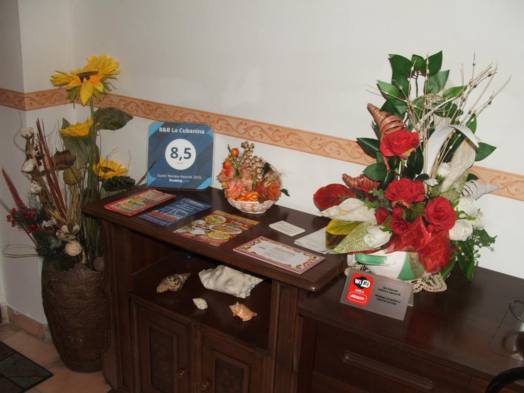 روما B&B La Cubanina المظهر الخارجي الصورة